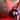 Denuit Unleashed: The Final Roar (Release Party Part 2)